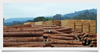 Brasil_F2M_Photos_08