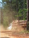 log_truck