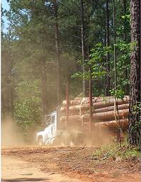 log_truck