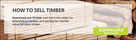 How do I sell my timber