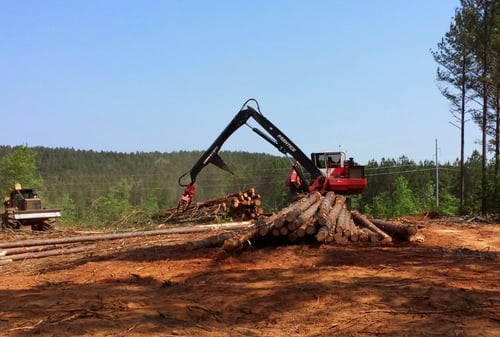 TimberTax