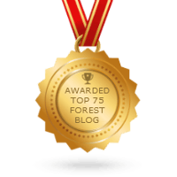 blog award.png
