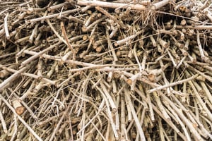 Biomass.jpg