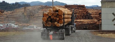 Timber_PNW