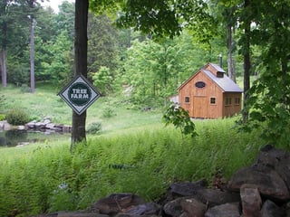 Barn_and_Tree_Farm_sign.jpg