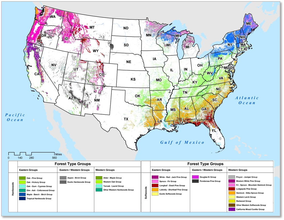 NAFO Report Highlights Part 1: U.S. Timberland Ownership and Classes