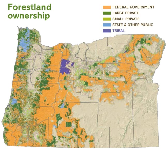 Oregon_1.jpg