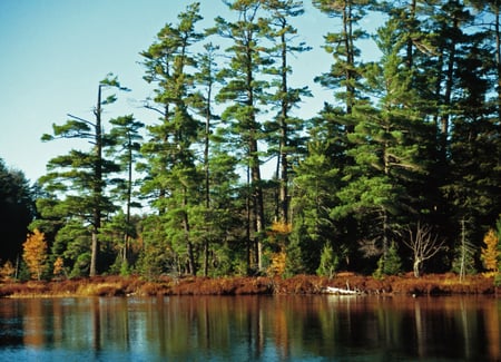Ottawa National Forest, Sylvania Wilderness, Michigan