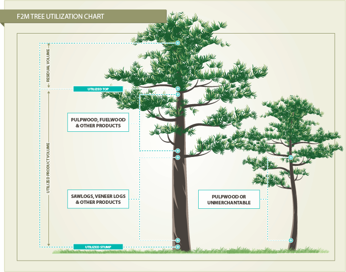 Tree Inventory Log Forest Inventory Utilization