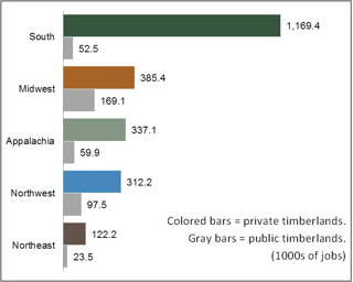 Working_Forests_3-1.png