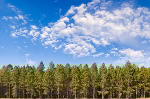 iStock_000006734454Small