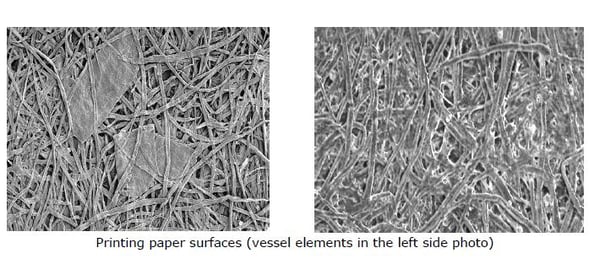 Fisher_Analysis_A_Technical_Look_at_Fiber (1)-1