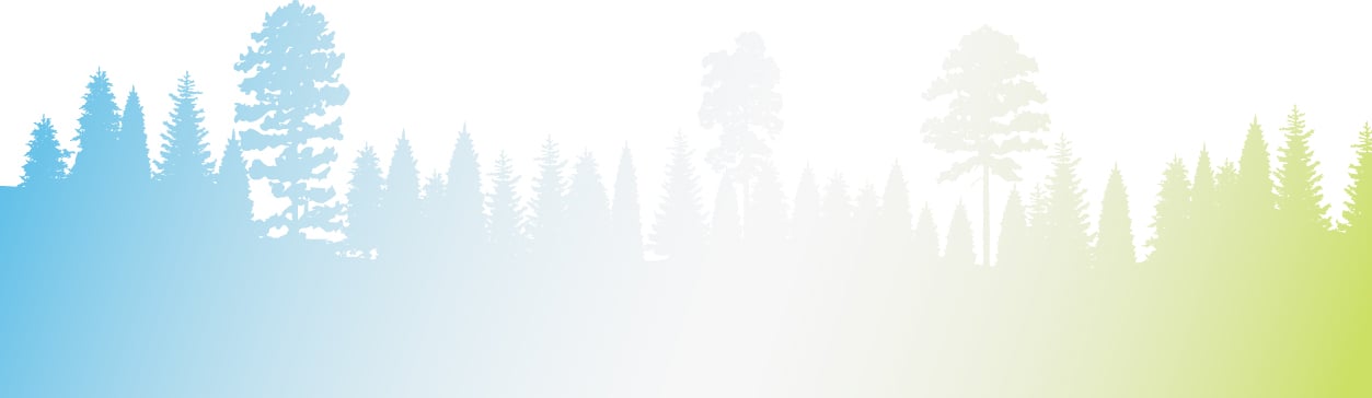 CTA-strip_bg01