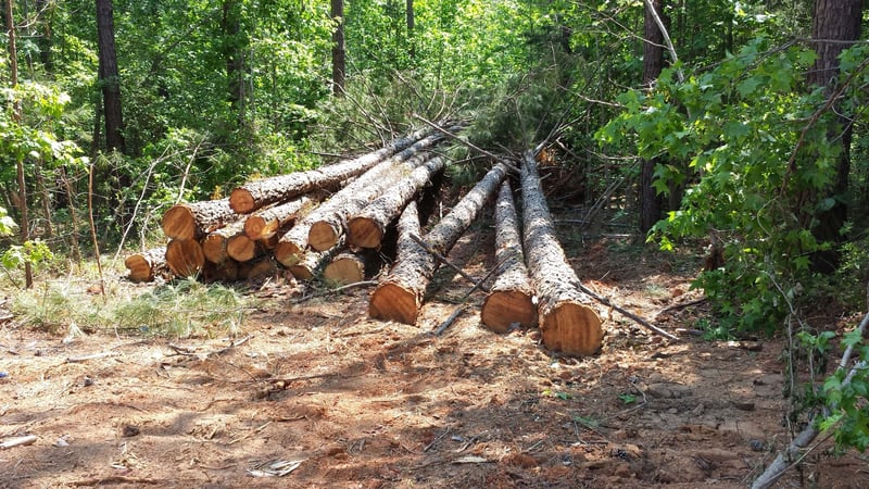 ForestryTour_2014_0513_058