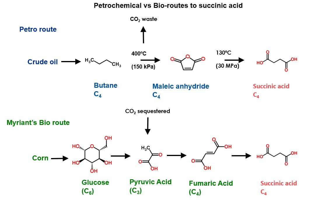 Image shows the chemical reactions for catalysing succinic acid from petrochemical-based feedstocks as opposed to a bio-based route