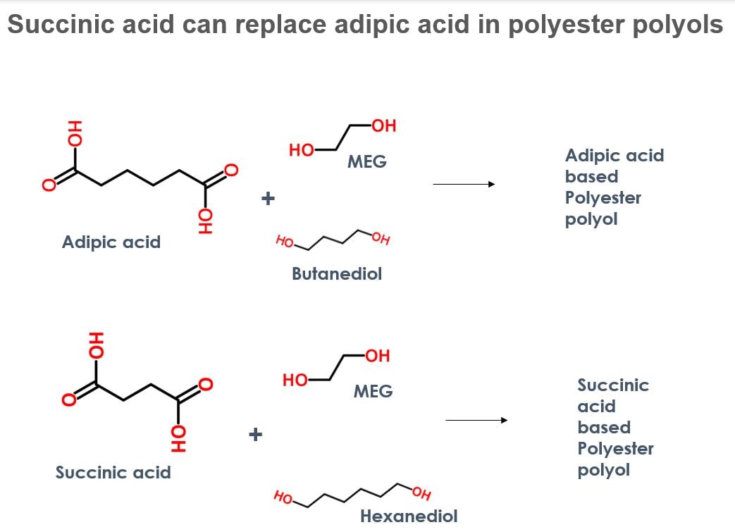 Image shows the various ways that succinic acid can replace adipic acid in polyester polyol production