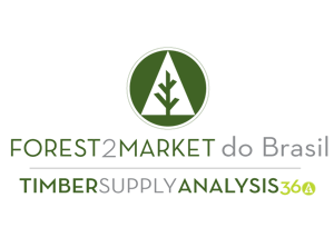 SS360 Brazil Logo