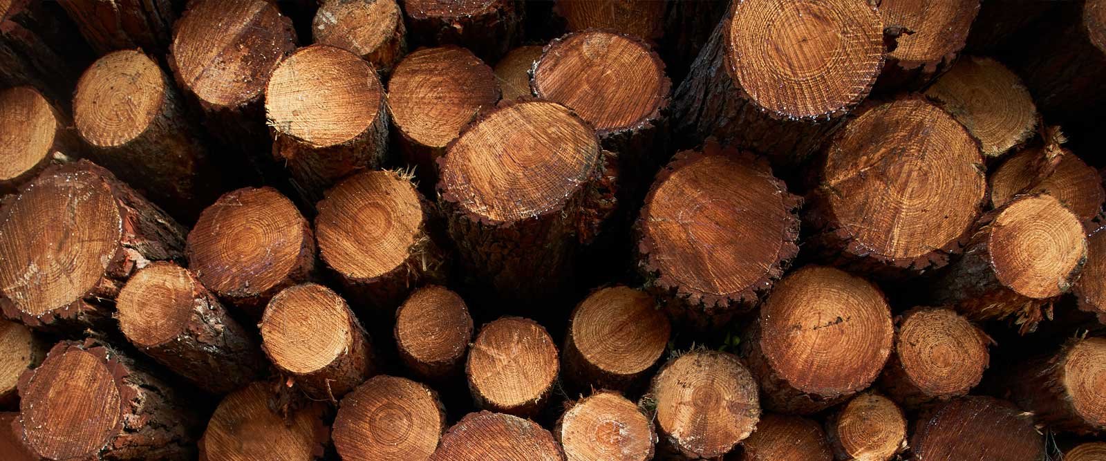 About ResourceWise: Market Intelligence for Sustainable Commodities