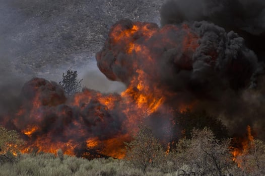 california-wildfire-wild-fire.jpeg