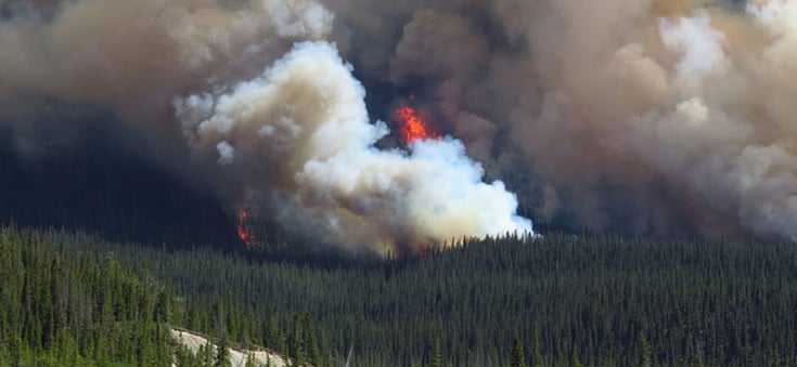 canadian-wildfire-forest-example