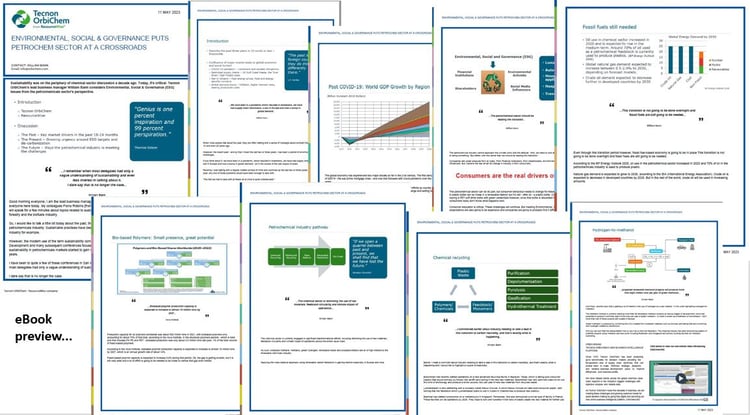 Each page of downloadable ebook but small and laid out side by side. preview