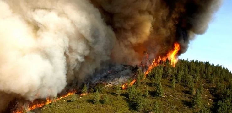 forest-fire-sept-2018