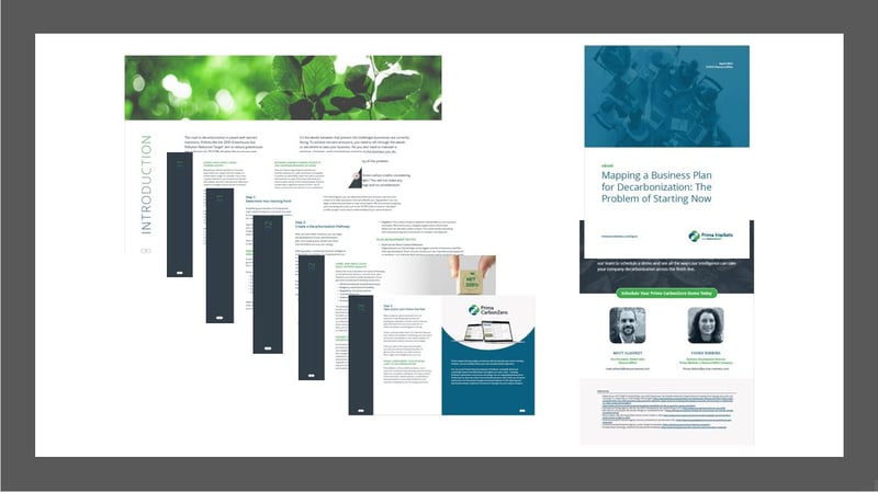 A montage of the pages of the eBook for a net-zero future.