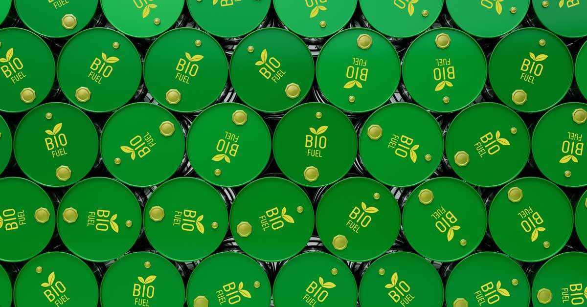 Multiple green barrels marked biofuel all stacked on top of one another.
