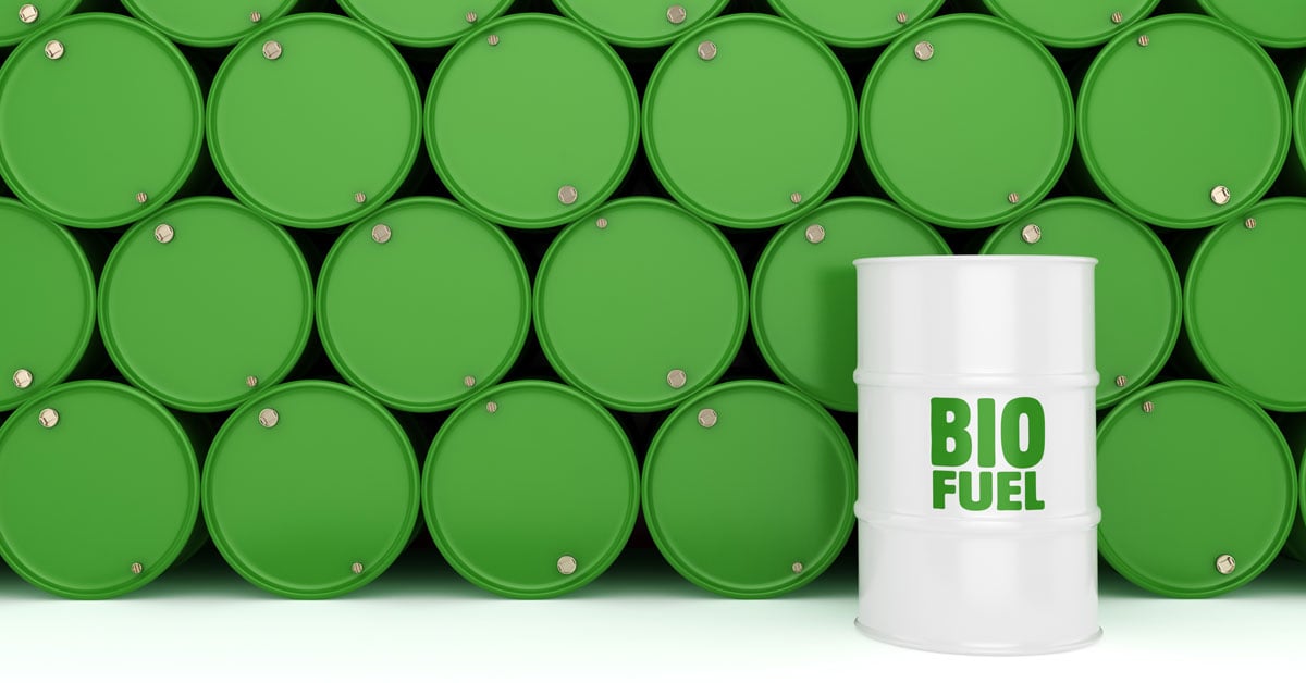 A large stack of green barrels with one white barrel marked Biofuel.