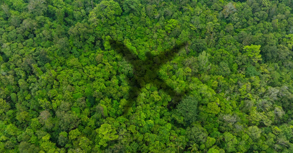 An airplane shadow cast over a dense forest.