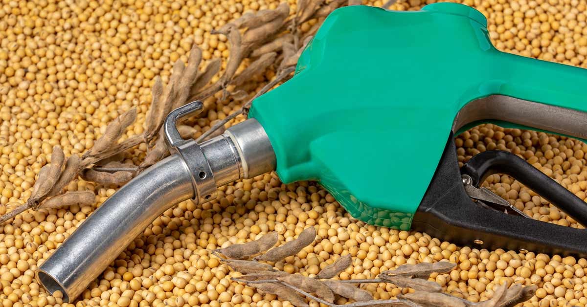 A renewable diesel pump sitting atop soybeans and grains.