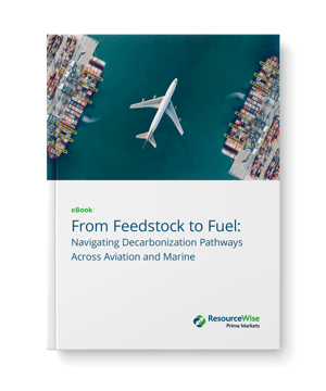 small-ebook-feedstock-to-fuel-cover