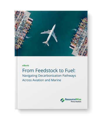 small-ebook-feedstock-to-fuel-cover
