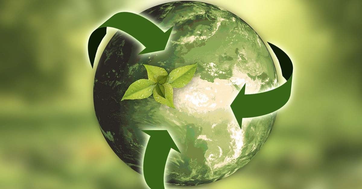 Green globe with plants growing out of the front and the recycle arrows surrounding it.