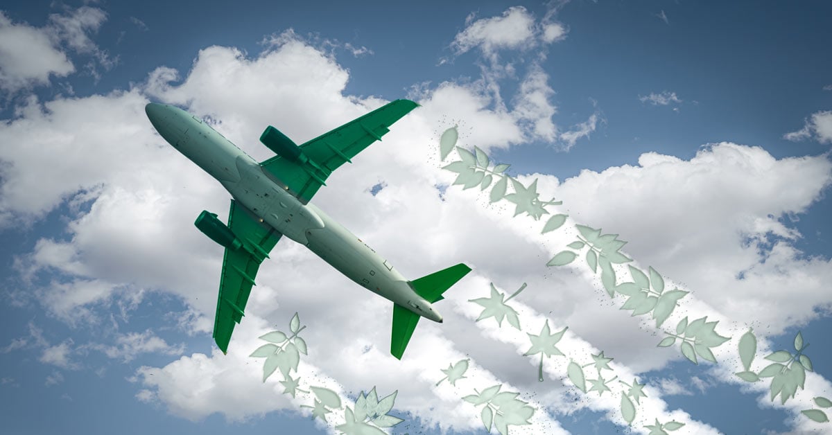 Airplane flying in a cloudy sky with leaves coming out of its jet smoke denoting the use of sustainable aviation fuel.