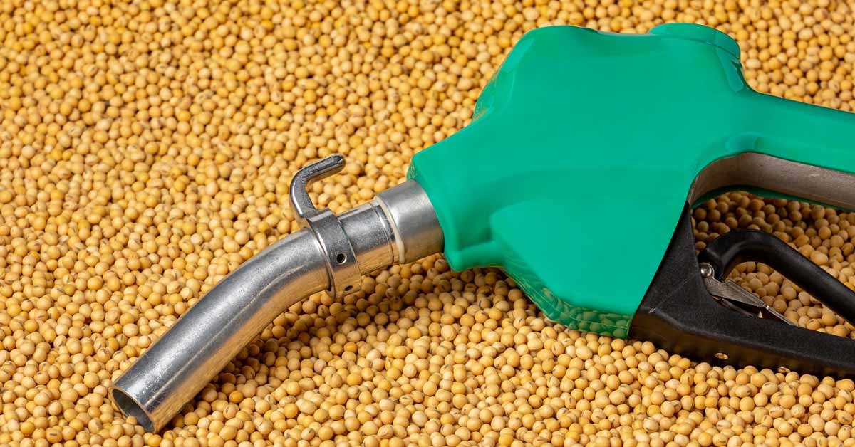 A renewable biodiesel fuel pump sits atop a large pile of soybeans.