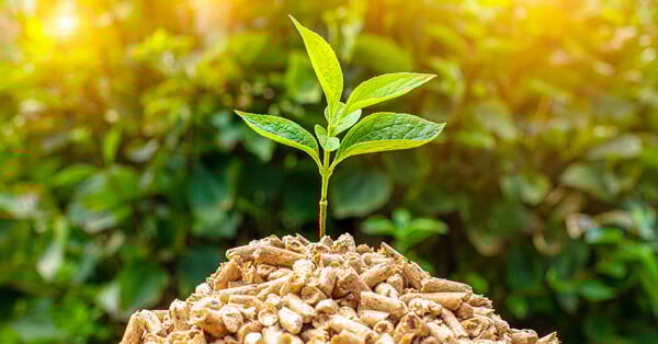 A small pile of wood pellets with on top of green leaves.