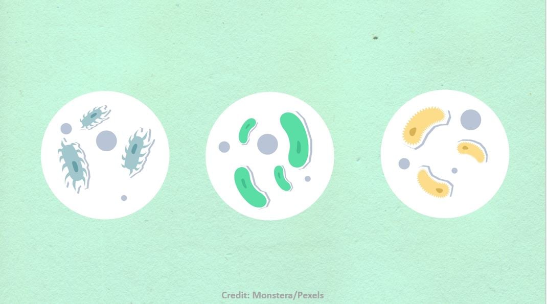 Microscopic view of chemical biosurfactants. 