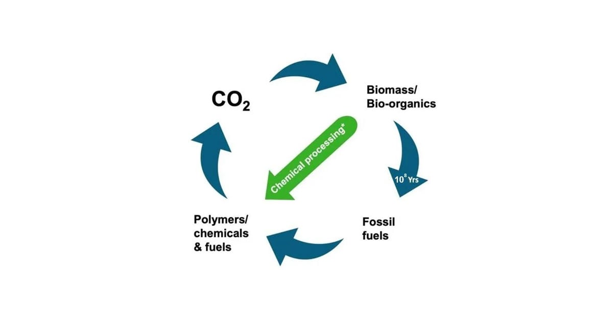 biobased-blog-featured-sustainability
