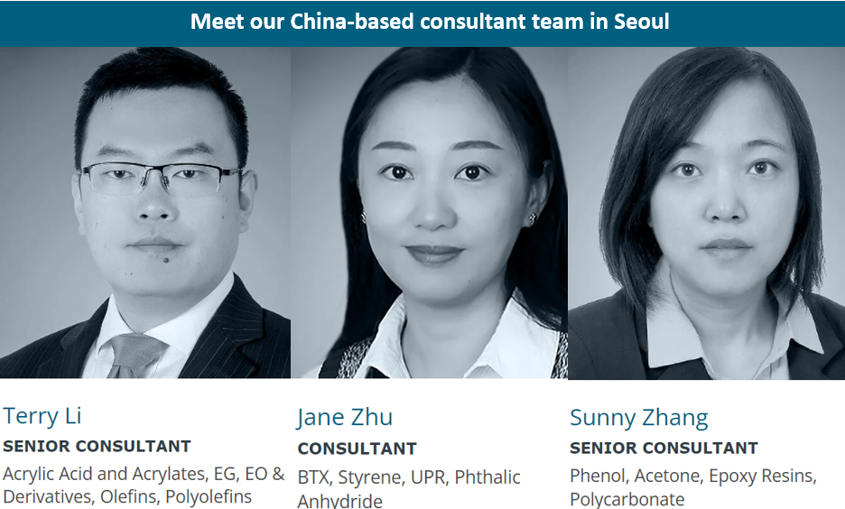 Chinese consultant team members