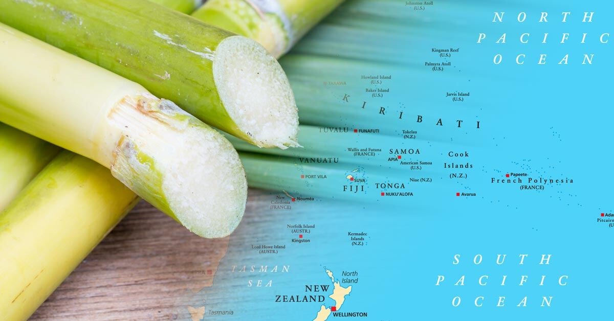 Sugarcane over a map of the Pacific region for SAF production.