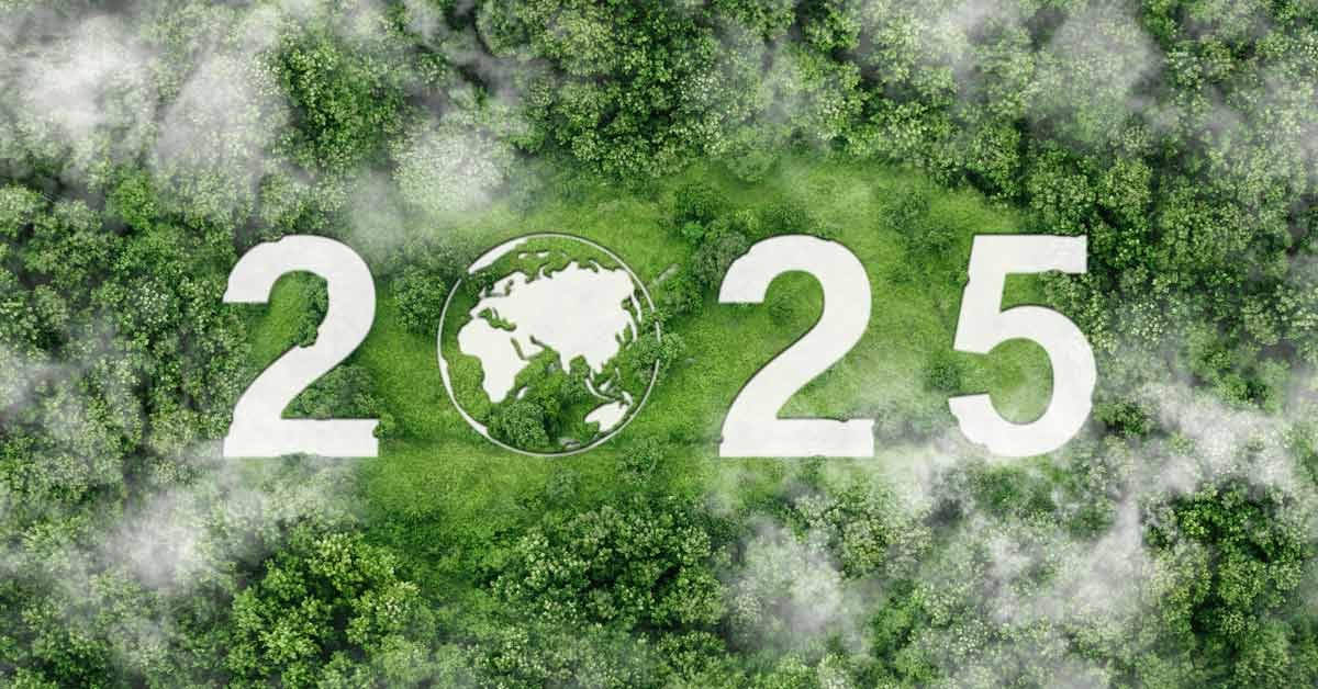 Overhead shot of woods with 2025 in white text and the zero an image of the earth.