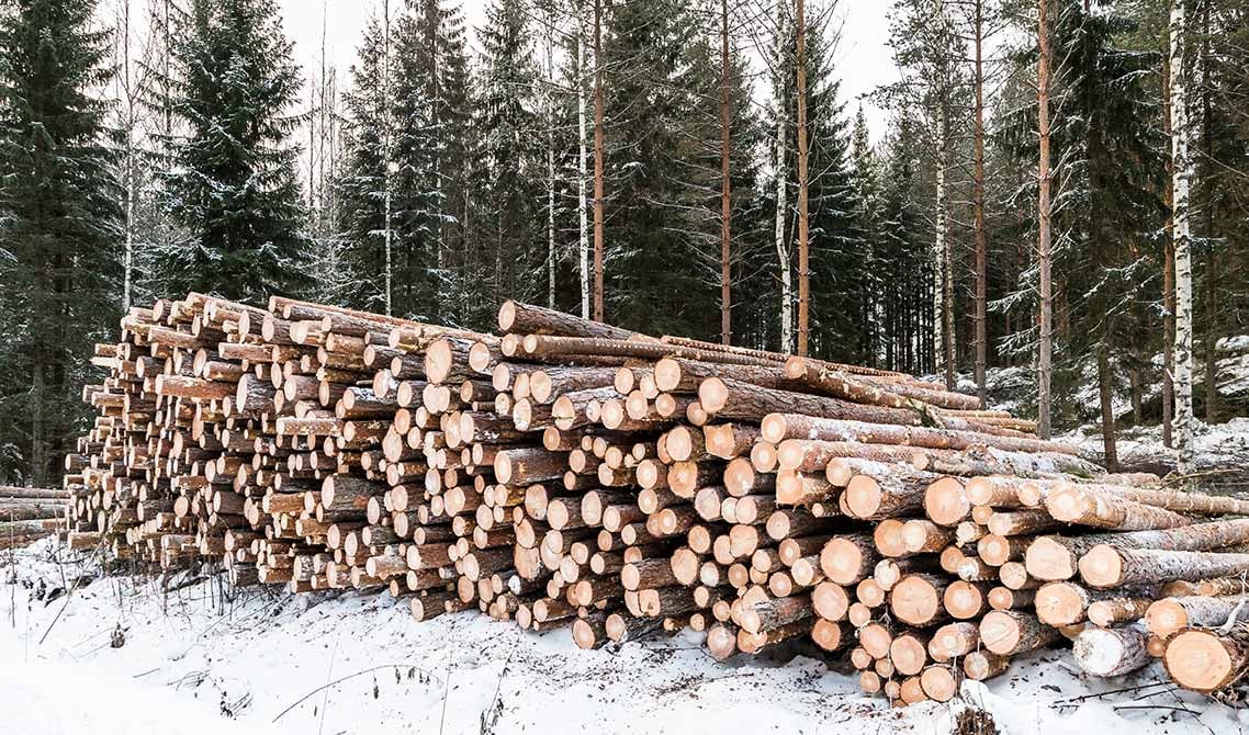 pulpwood-market-logs-with-snow
