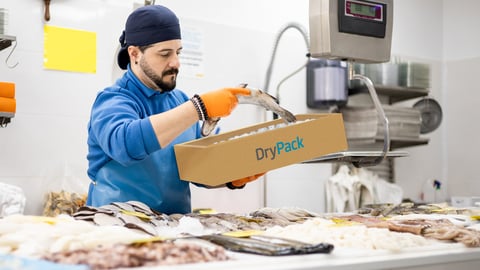 Image of a man placing a fish into DS Smith's new DryPack.
