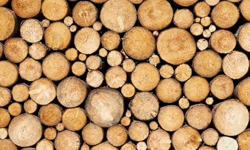 forest-product-woodmarket-prices