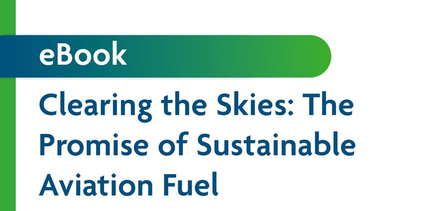 ebook-clearing-the-skies-saf