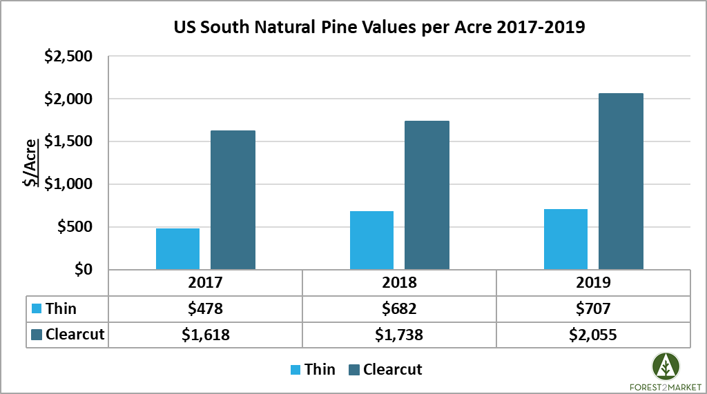 How Much Money Is an Acre of Timber Worth?