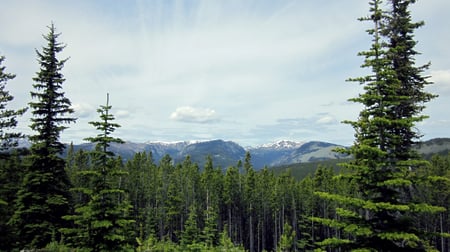 ne-region-tour-loomis-and-loup-loup-diana-lofflin-046
