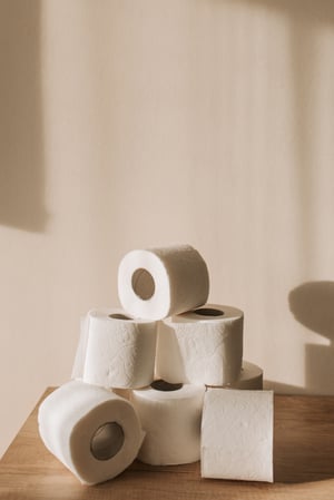 pexels-vlada-karpovich-3958193-toilet paper