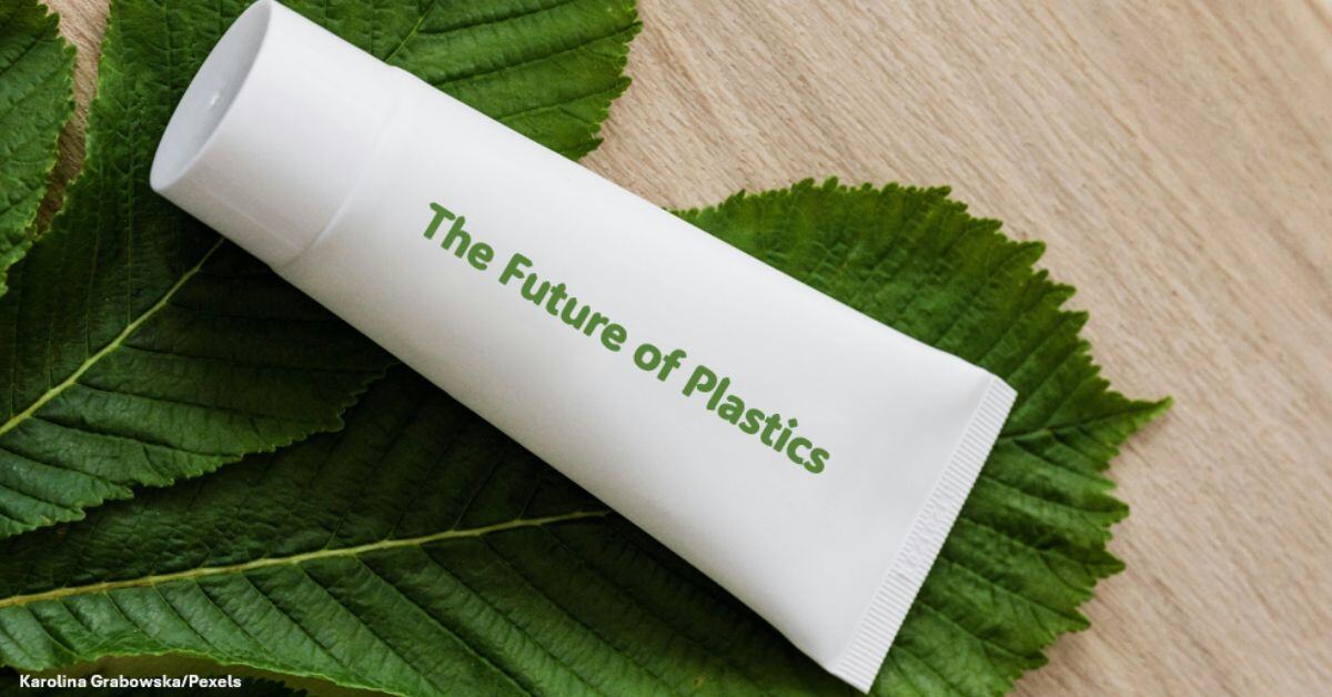 A white plastic container bearing the words 'the future of plastics' positioned on top of a tree leaf on a table. 